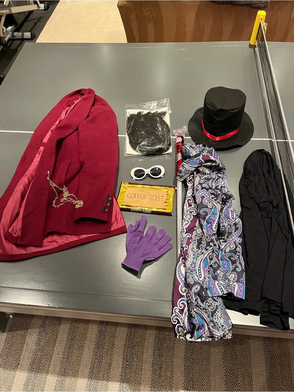 Willy Wonka Homemade Halloween costume
